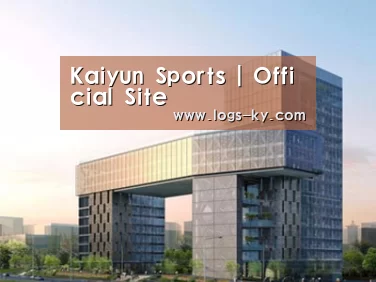 案例展示四