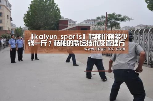 kaiyun娱乐登录