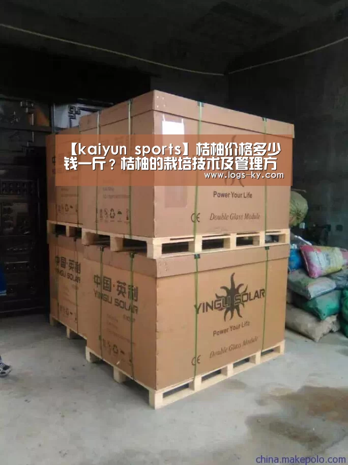 开云投注