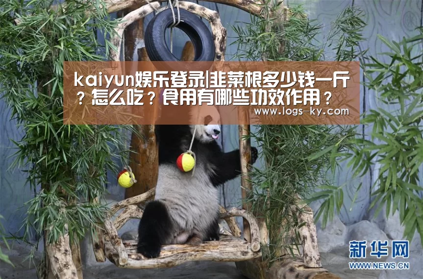 kaiyun娱乐登录|韭菜根多少钱一斤?怎么吃?食用有哪些功效作用?(图2) kaiyun betting